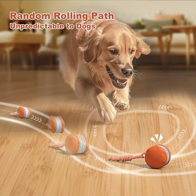 Interactive Dog Ball Toy