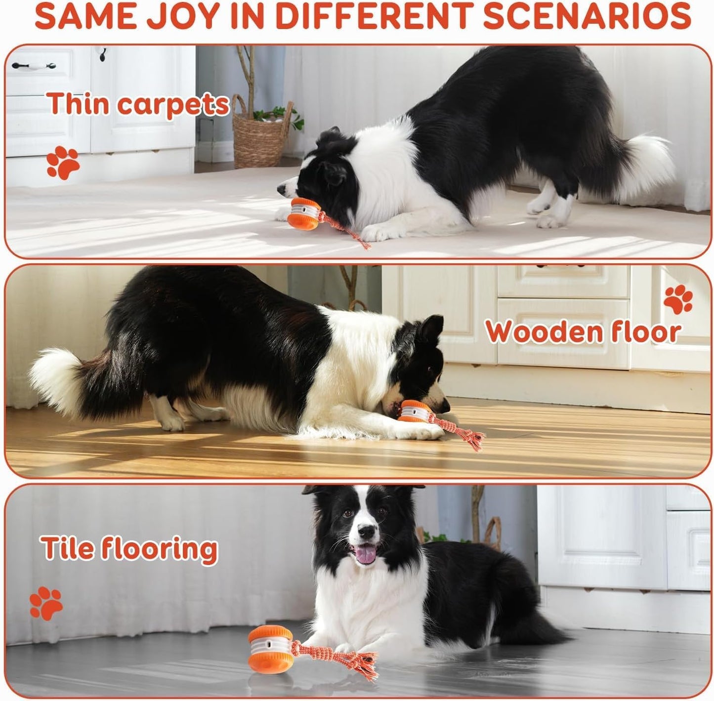 Interactive Dog Ball Toy