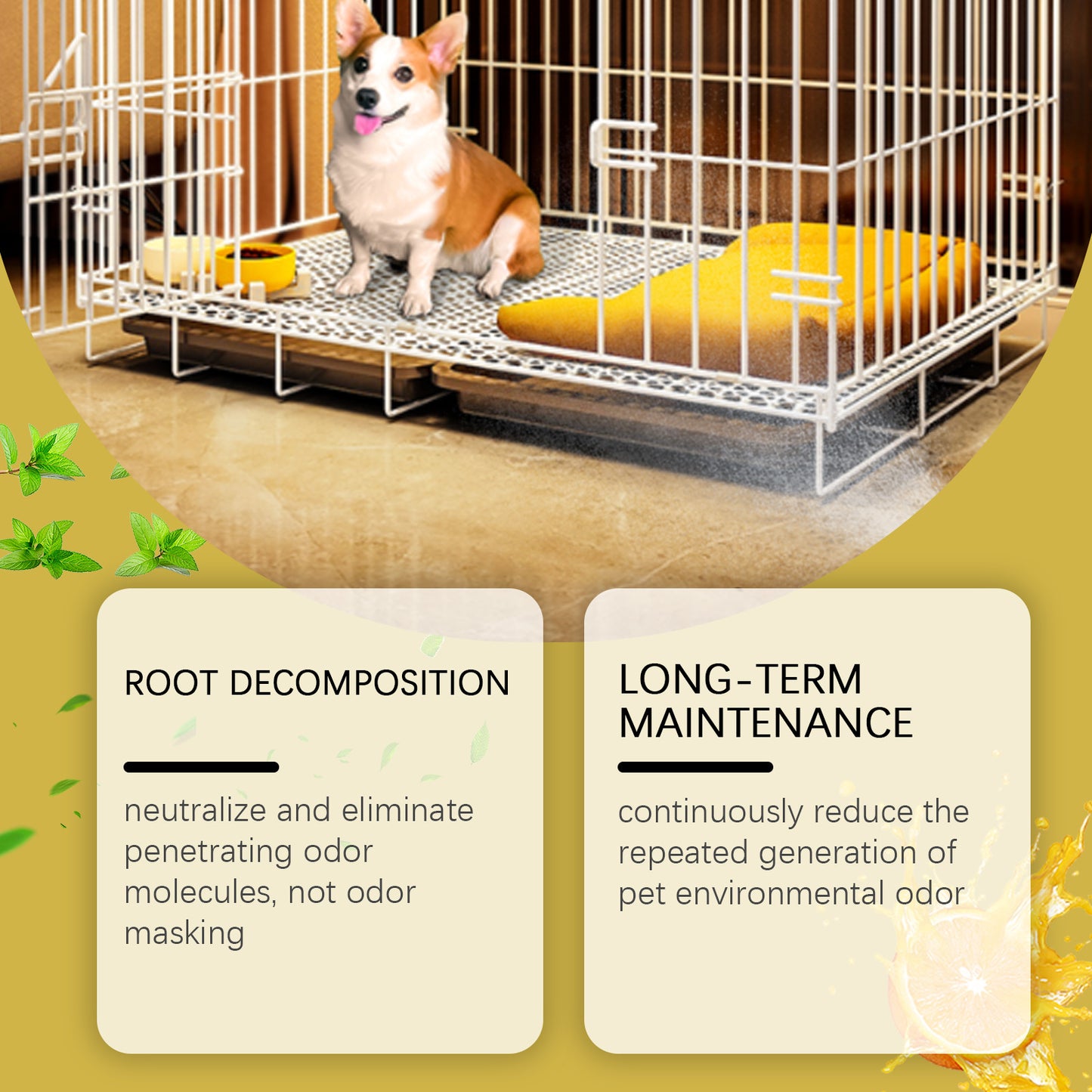 JAKEHOE Pet Kennel Odor Eliminator