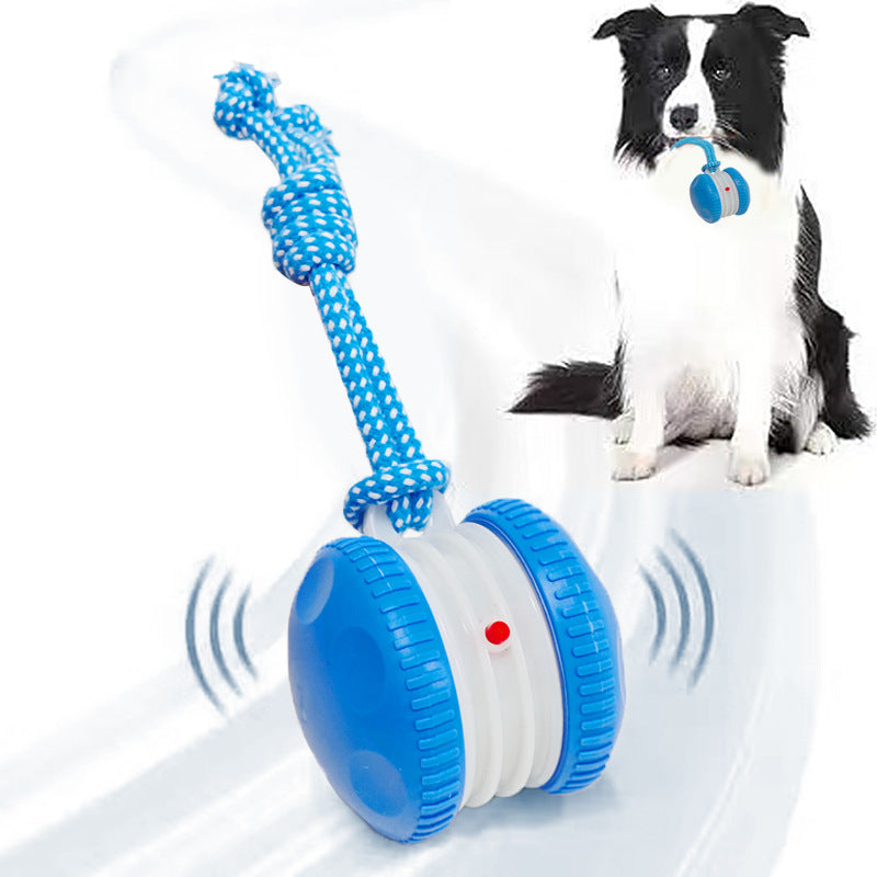 Interactive Dog Ball Toy