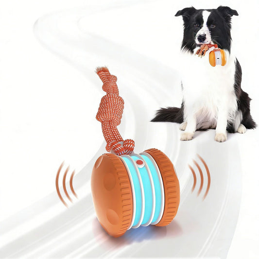 Interactive Dog Ball Toy