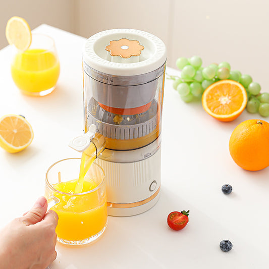 Portable multi-function juicer